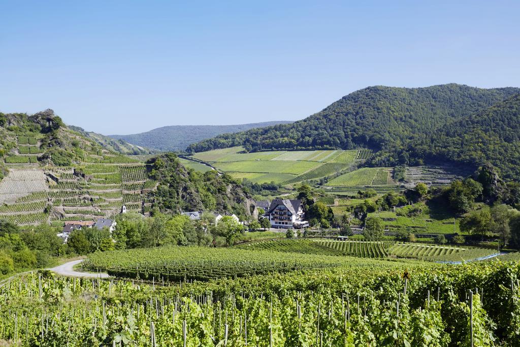 Hotel Pension Jagerstubchen Mayschoß Exteriör bild