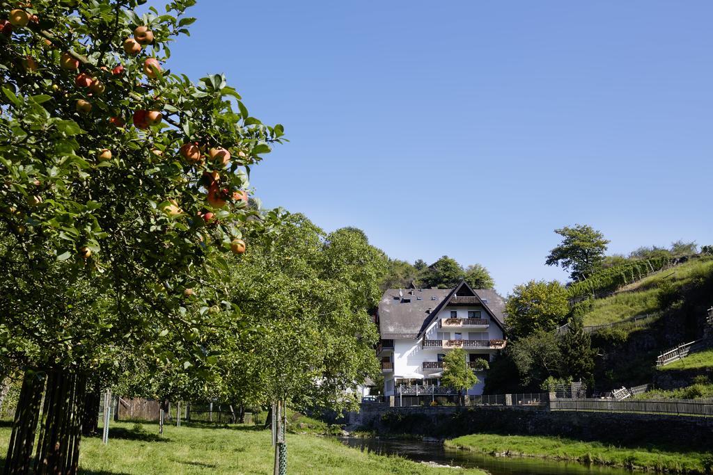 Hotel Pension Jagerstubchen Mayschoß Exteriör bild